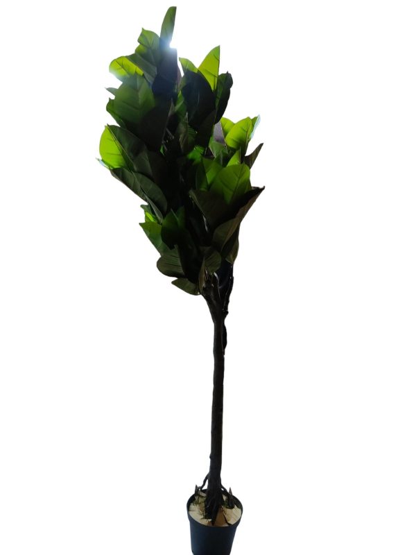 C5-9273 200CM REAL TOUCH RUBBER PLASTIC TREE - Image 2
