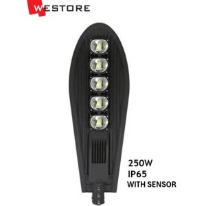 MR LED STREET LIGHT 250W 85-240V WARM MV-C2250 IP65 ( WITH SENSOR )