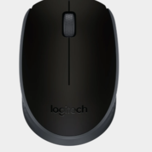 LOGITECH WIRELESS MOUSE M171